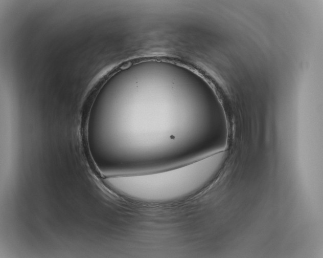 X0000113351452200909151144