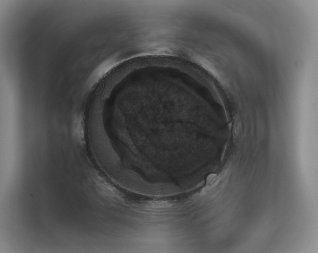 X0000113351455200909151144