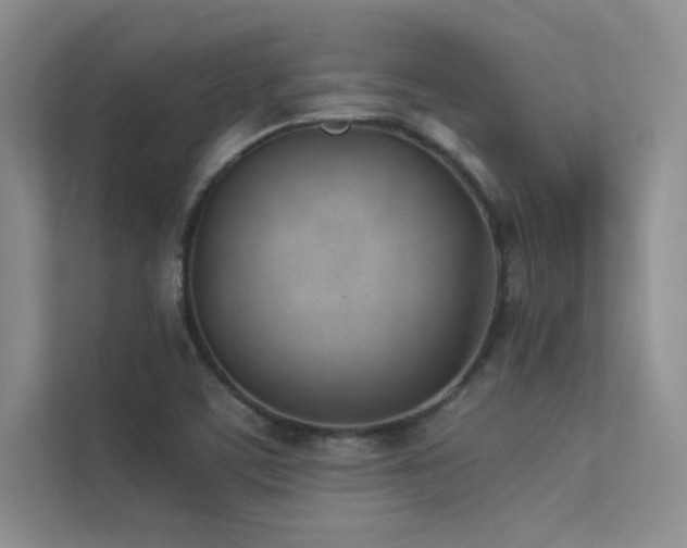 X0000113351459200909151144