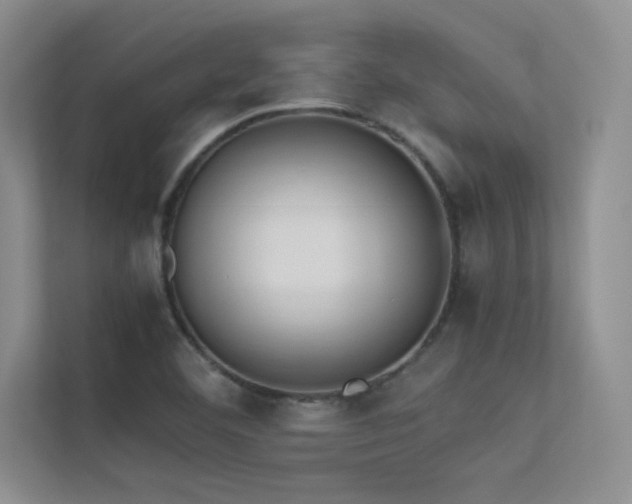 X0000113351460200909151144