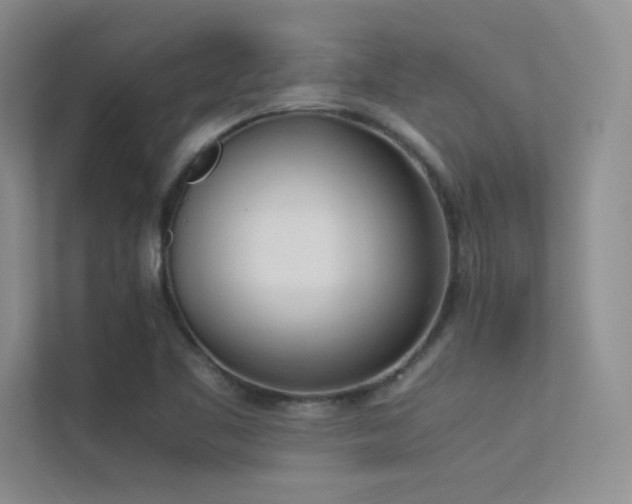 X0000113351461200909151144