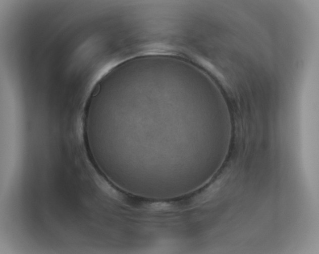 X0000113351463200909151144