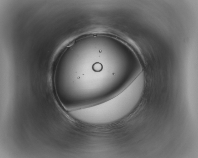 X0000113351464200909151144