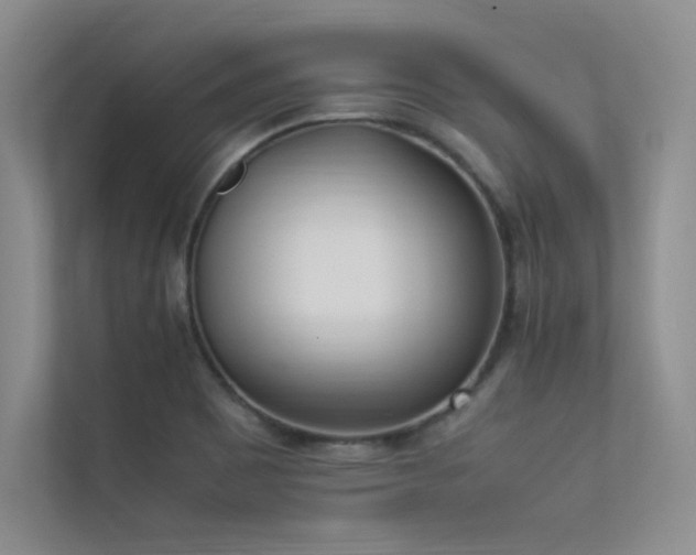 X0000113351465200909151144