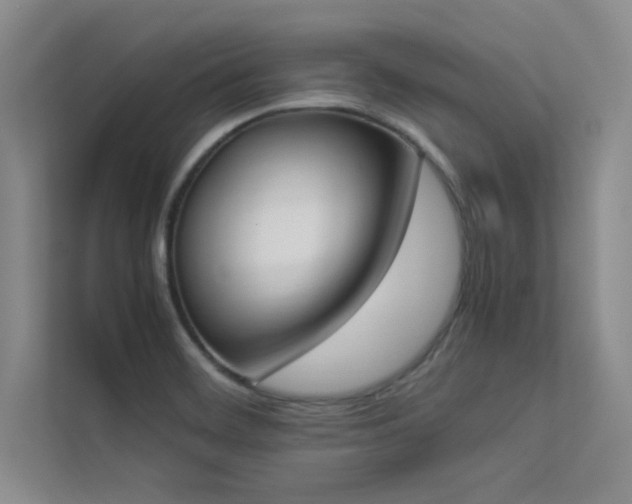 X0000113351468200909151144