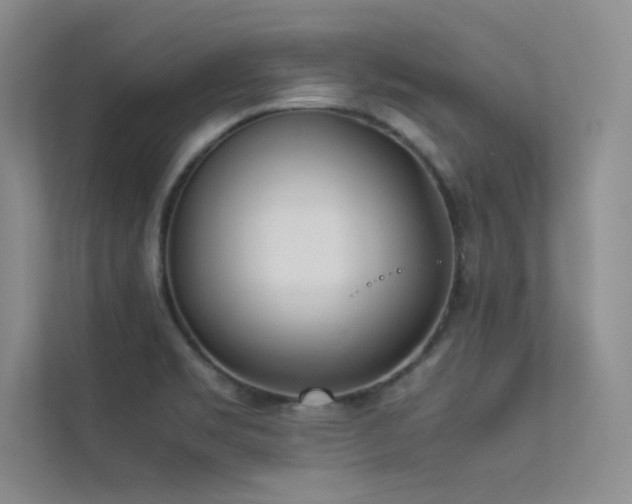 X0000113351469200909151144