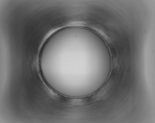 X0000113351470200909151144