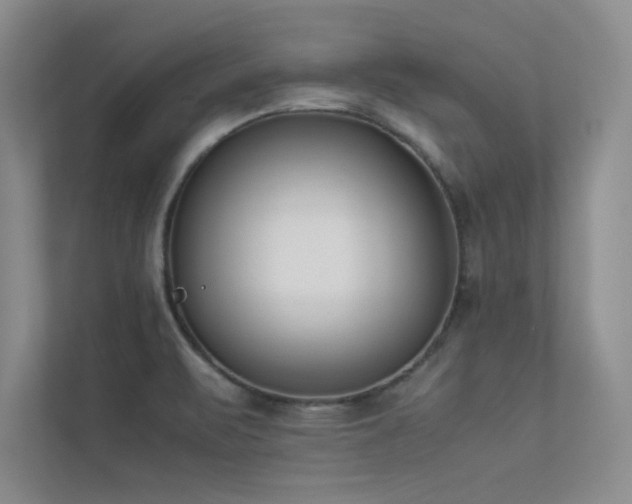 X0000113351471200909151144
