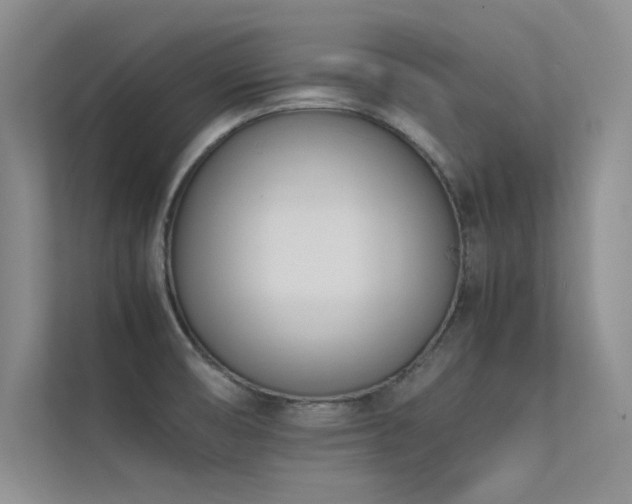 X0000113351474200909151144