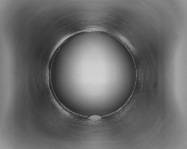 X0000113351476200909151144