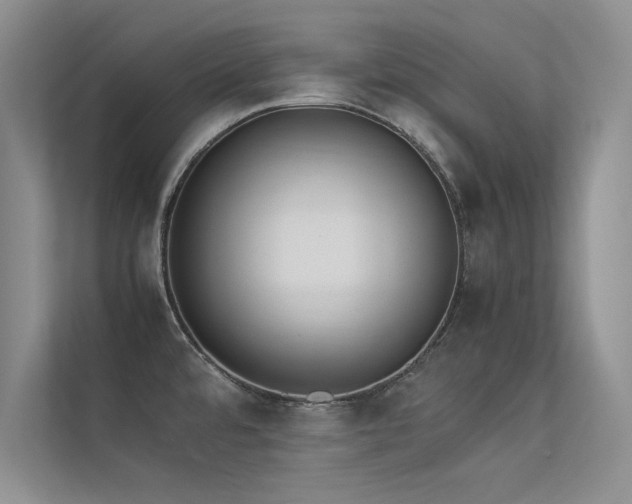 X0000113351480200909151143