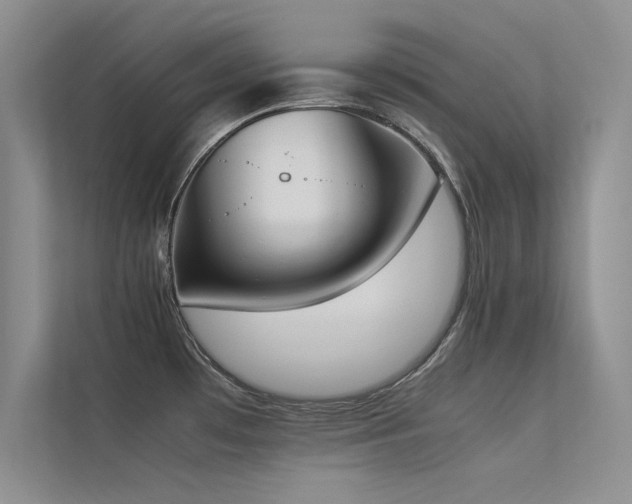 X0000113351481200909151143