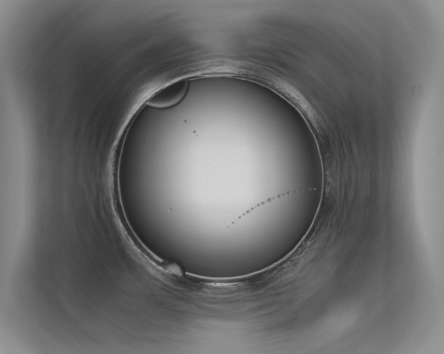 X0000113351483200909151143