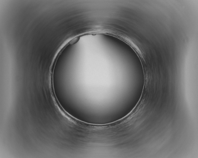 X0000113351484200909151143