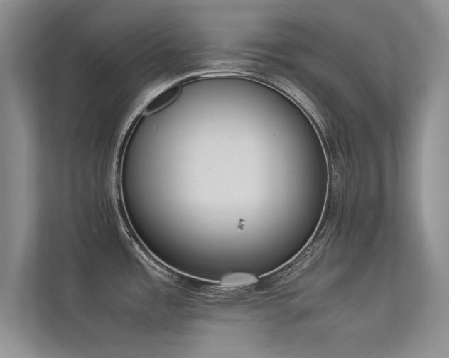 X0000113351485200909151143
