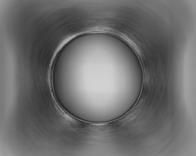 X0000113351486200909151143