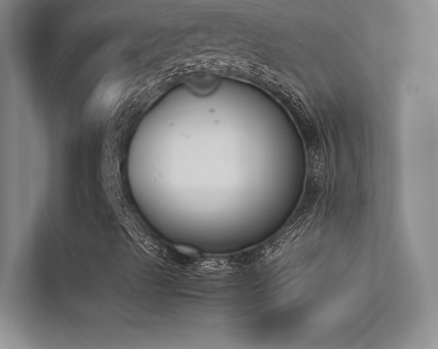 X0000113351489200909151143
