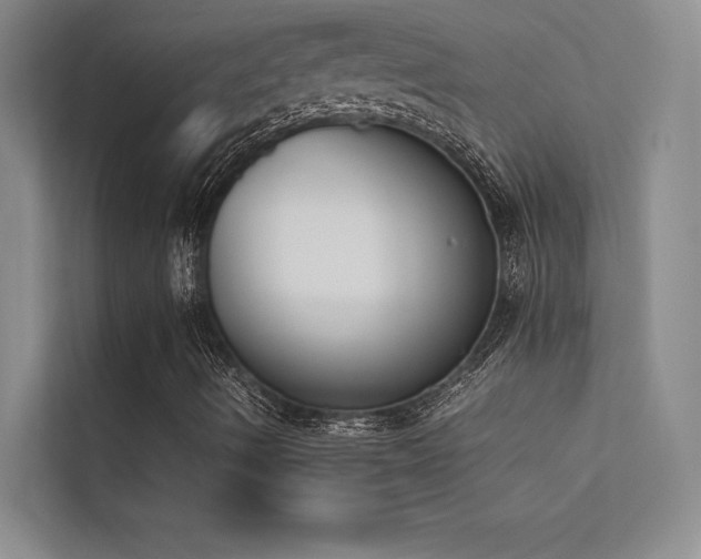 X0000113351490200909151143