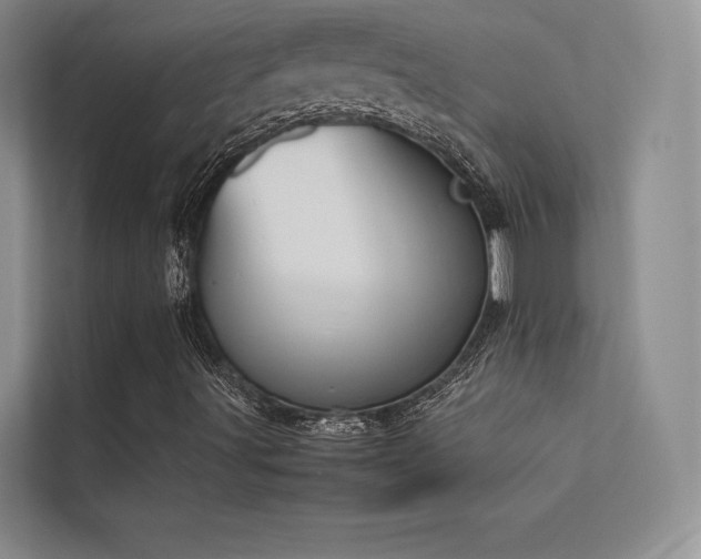 X0000113351491200909151143