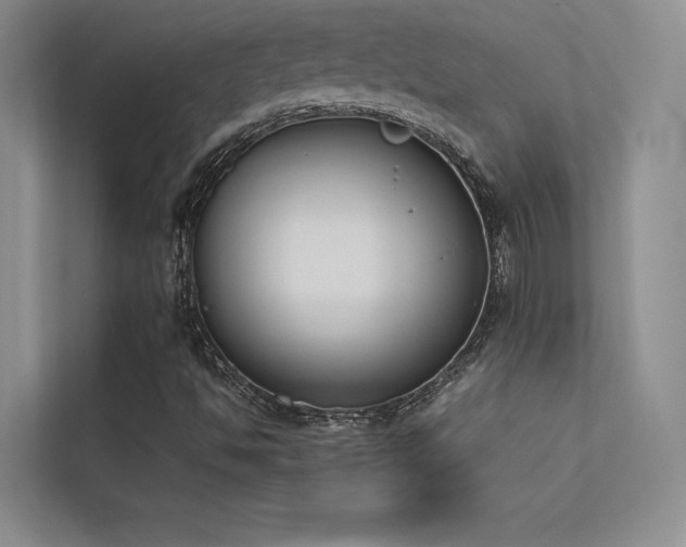 X0000113351494200909151143