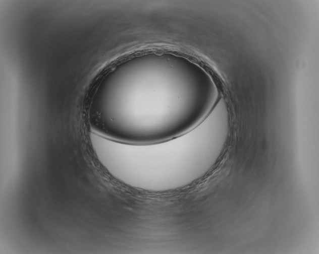 X0000113351496200909151143