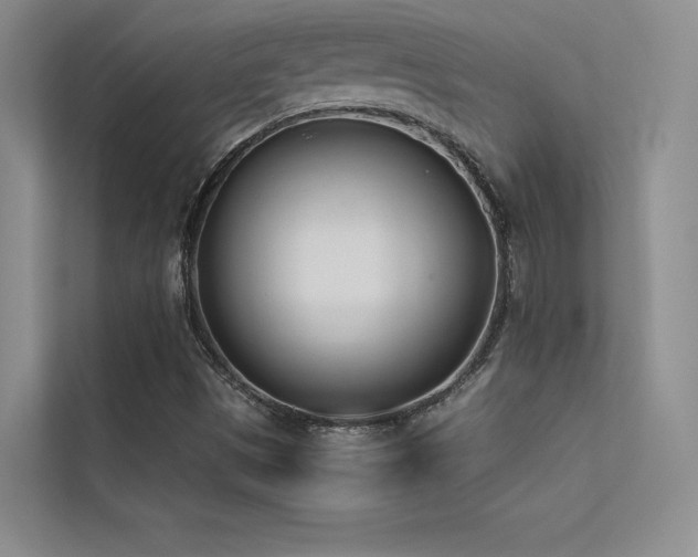 X0000113351497200909151143