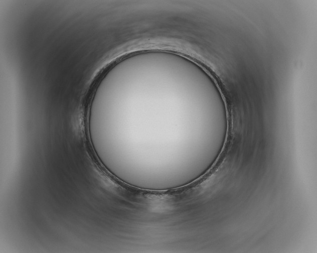 X0000113351498200909151143