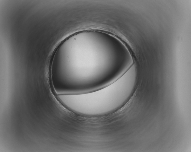X0000113351500200909151143