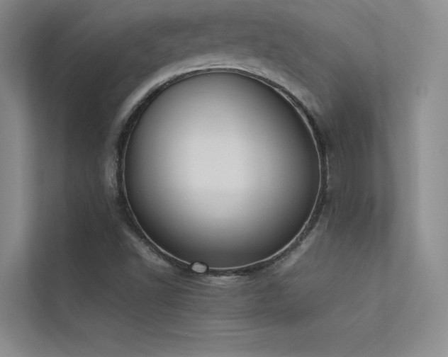 X0000113351502200909151143