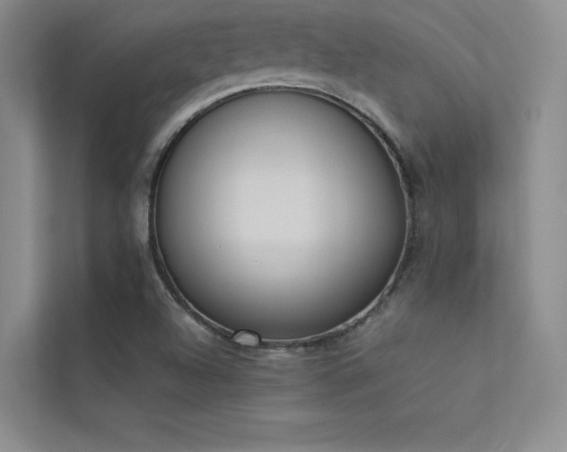 X0000113351504200909151143