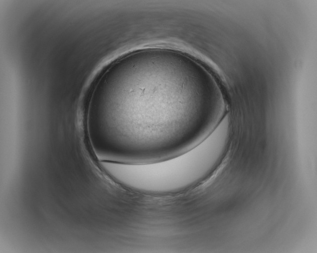 X0000113351506200909151143