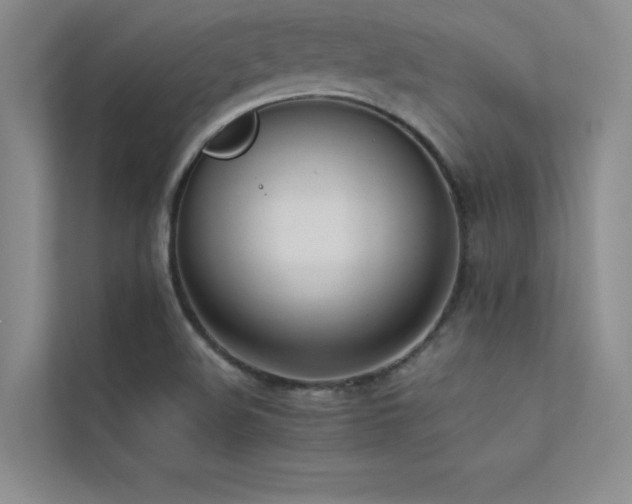 X0000113351508200909151143