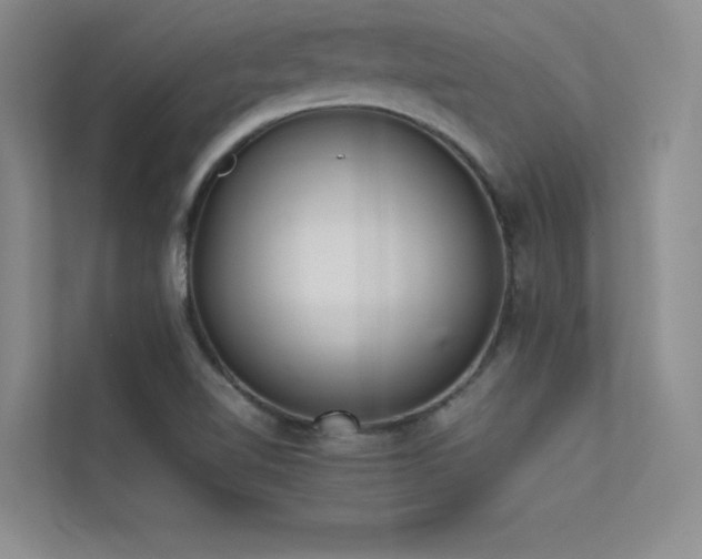 X0000113351510200909151143