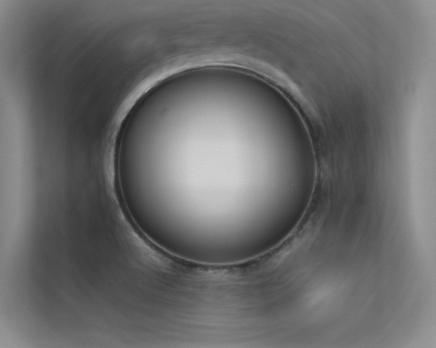 X0000113351512200909151143