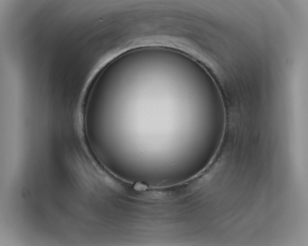 X0000113351517200909151143