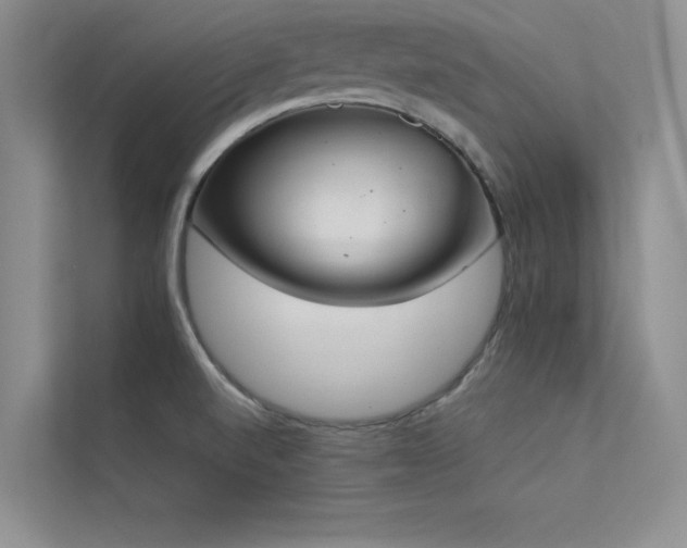 X0000113351520200909151143