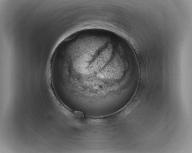 X0000113351522200909151143