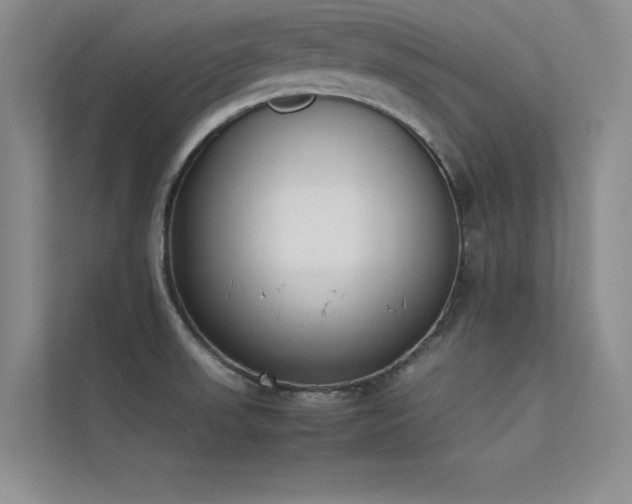 X0000113351523200909151143