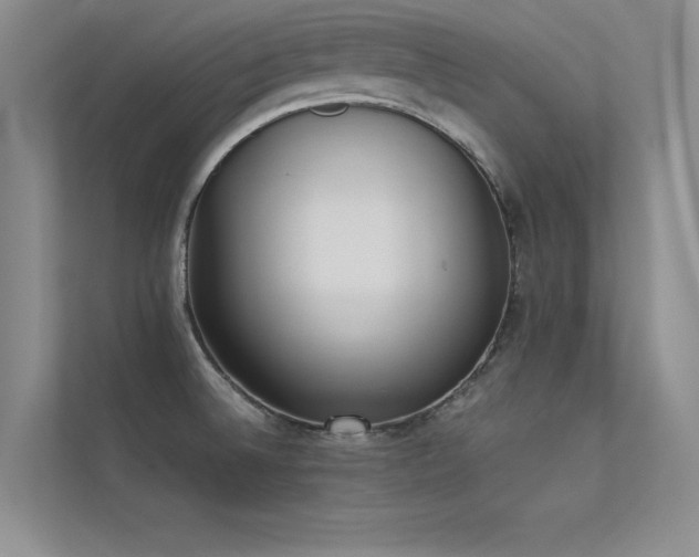 X0000113351524200909151143