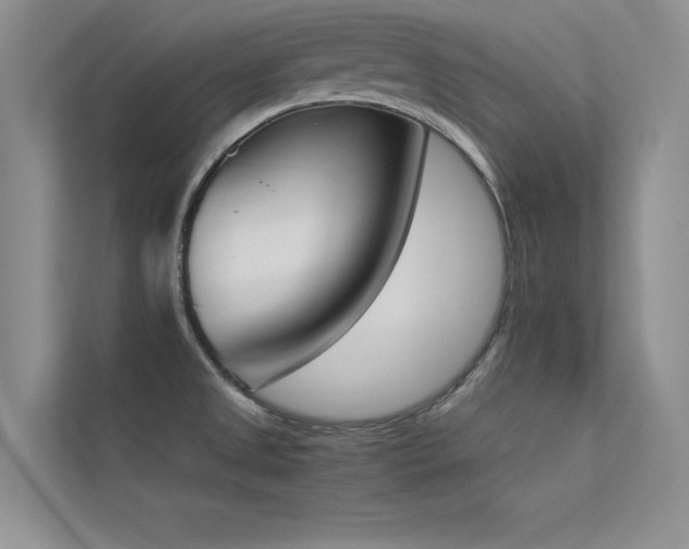 X0000113351525200909151143