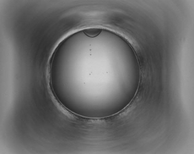 X0000113351526200909151143