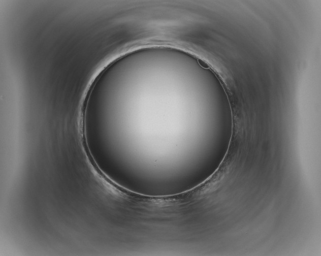 X0000113351527200909151143