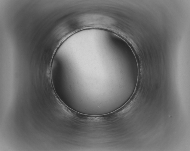 X0000113351529200909151143