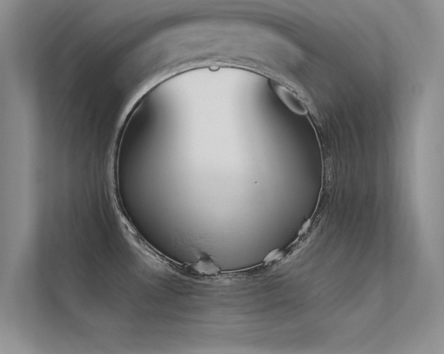 X0000113351530200909151143