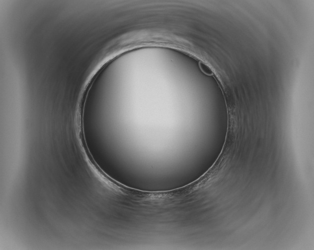 X0000113351531200909151143