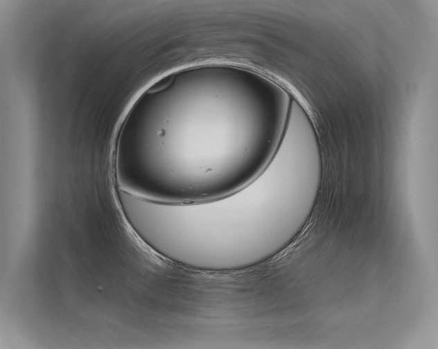 X0000113351532200909151143