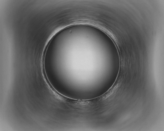 X0000113351533200909151143