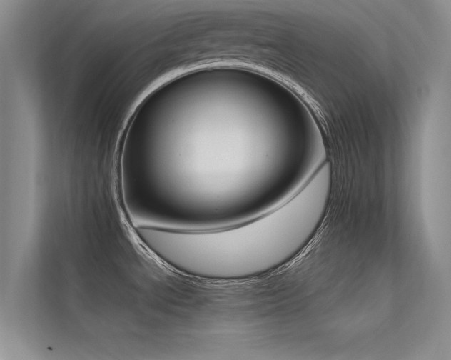 X0000113351534200909151143