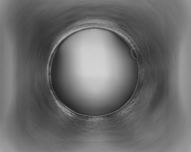 X0000113351535200909151143