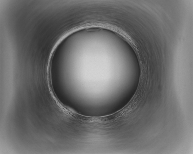 X0000113351536200909151143
